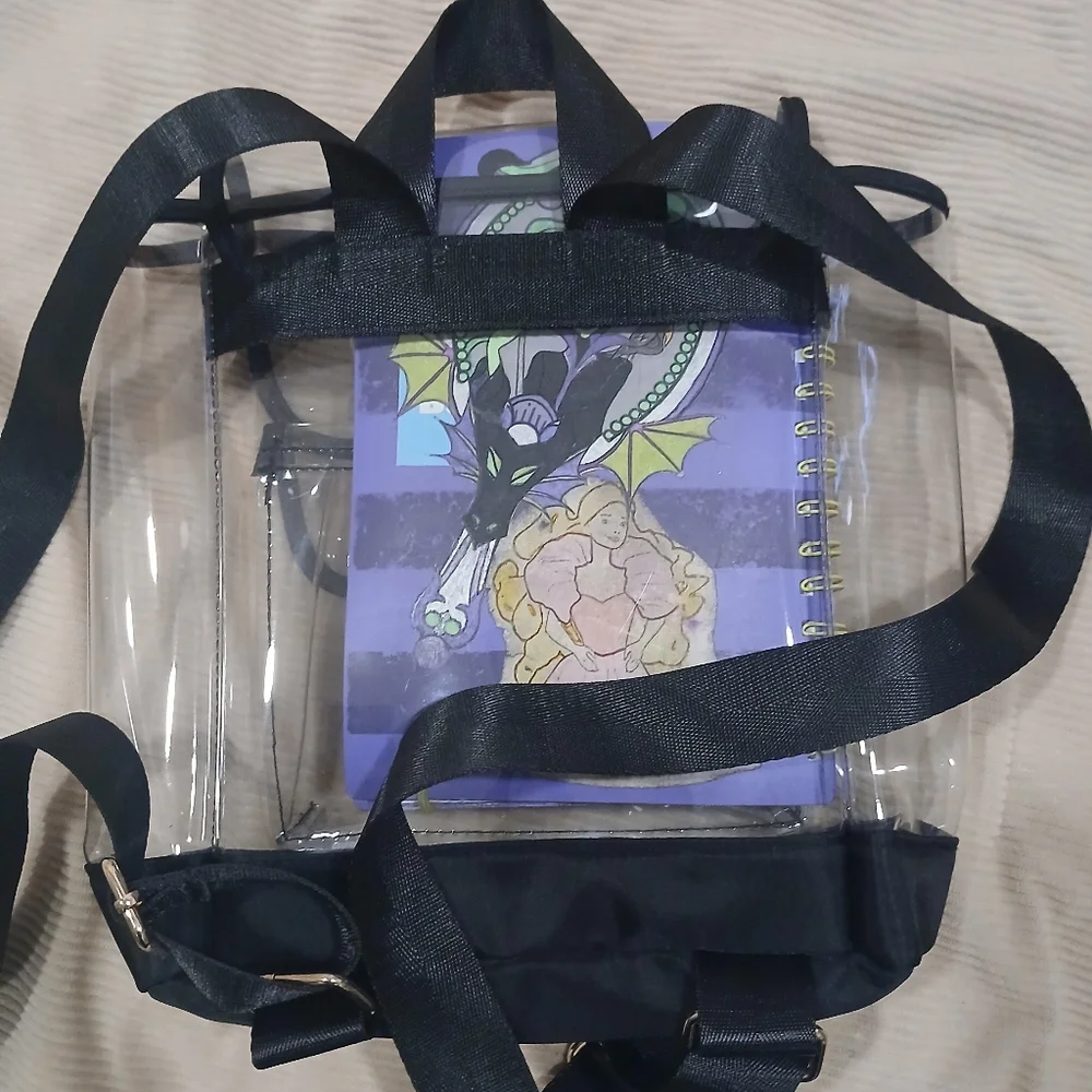Clear Backpack - Picture 3 of 5